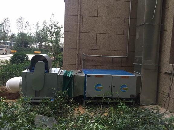 山东通风蜜桃APP下载网站加工